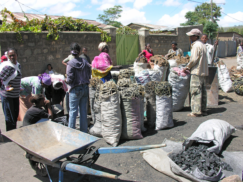 Charcoal sale in Ethiopia. A standard bag contains about 100 pound of charcoal and is sold for US $ 10-15, depending on quality. Photo: L. Andreoli (Netherlands)