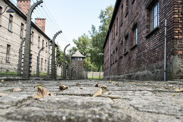 Holocaust Auschwitz Poland Image by Larah Vidotto from Pixabay