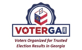 VoterGA image