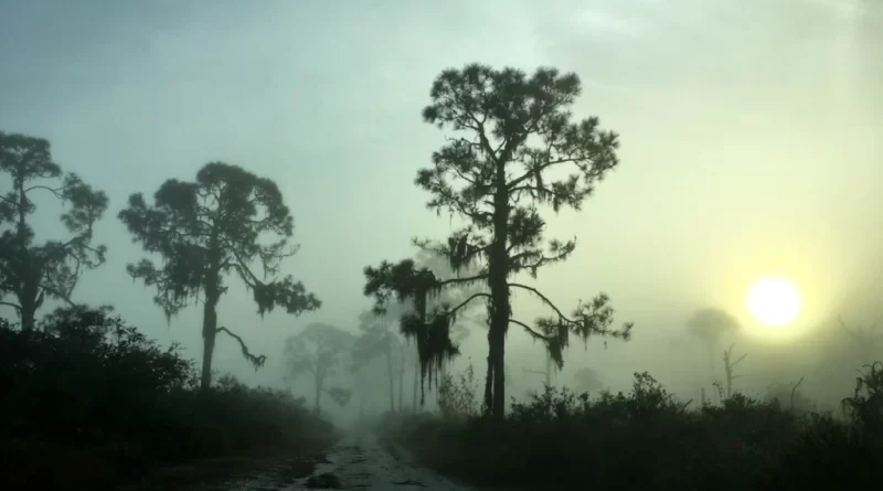 Sinkhole: Lorida-Sebring Florida. Credit Davida G. Breier